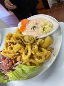 WhatsApp Image 2025-01-08 at 12.11.54 AM